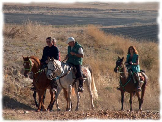randonnee cheval millau